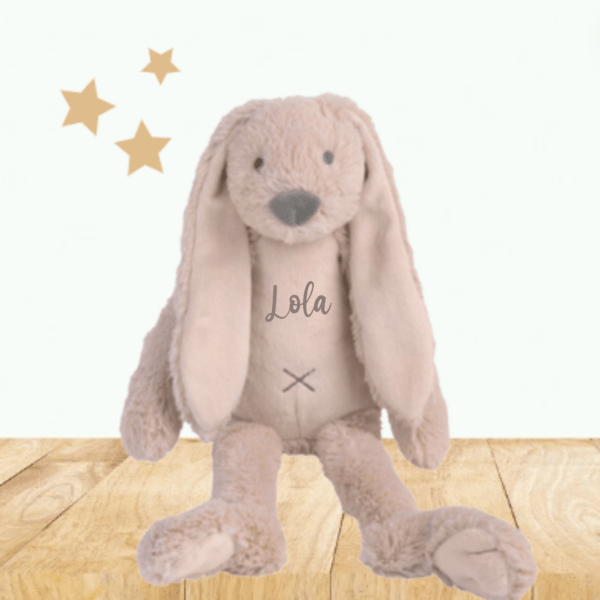 Peluche Richie old pink personnalisable corps